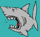 Dibujo Tiburón pintado por avatar