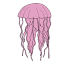 Dibujo Medusa pintado por neider