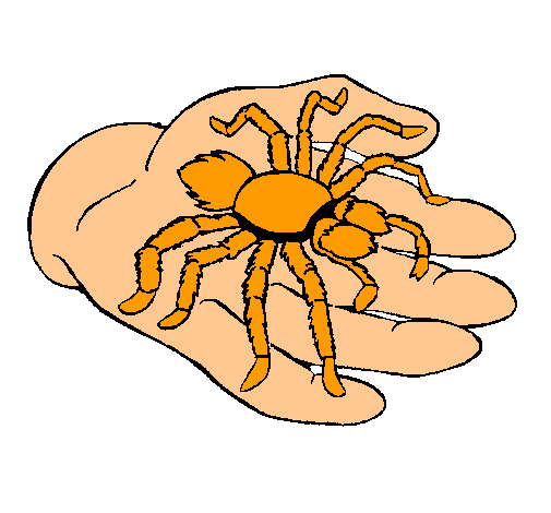 Tarántula