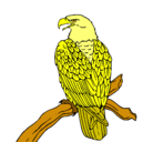 Dibujo Águila en una rama pintado por henry15
