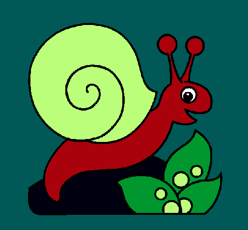 Caracol