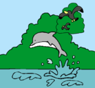 Dibujo Delfín y gaviota pintado por GabiSch
