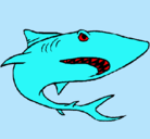 Dibujo Tiburón pintado por LUILLI