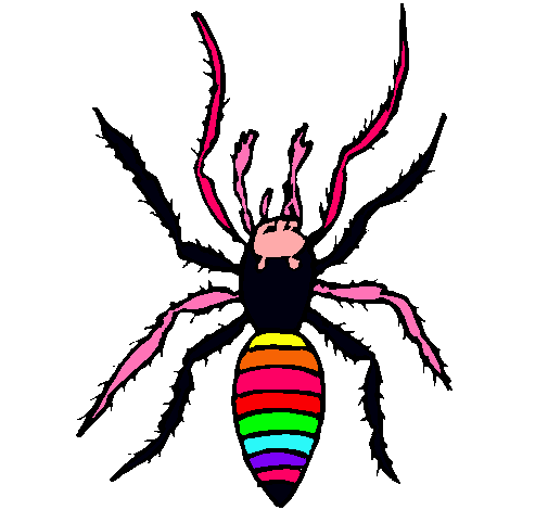 Araña tigre