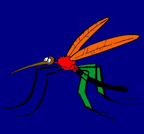 Mosquito