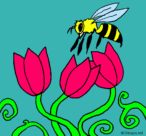 Abeja