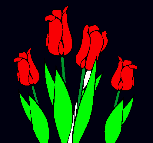 Tulipanes