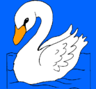 Dibujo Cisne pintado por ferchito