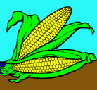 Dibujo Mazorca de maíz pintado por mauri