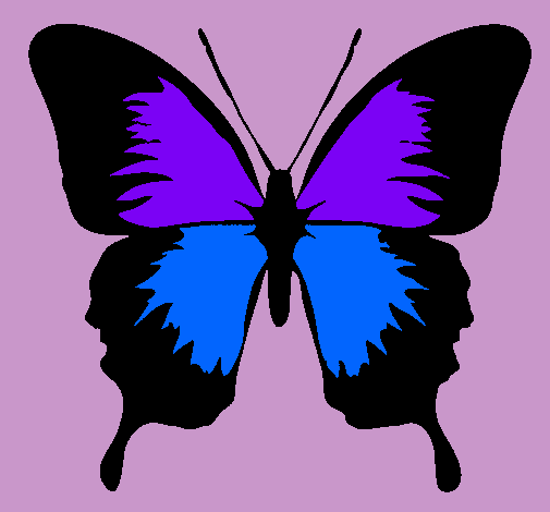 Dibujo Mariposa con alas negras pintado por TaniaAlejandraa