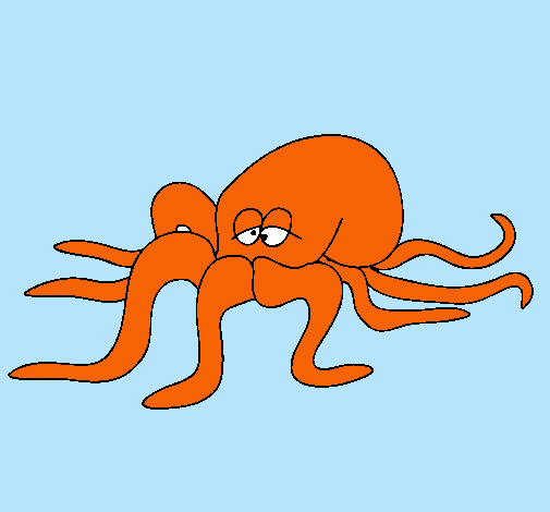 Pulpo