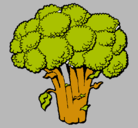 Dibujo Brócoli pintado por janna