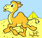 Dibujo Camello pintado por uirysdg