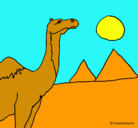 Dibujo Camello pintado por vijff108