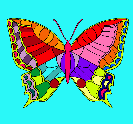 Mariposa