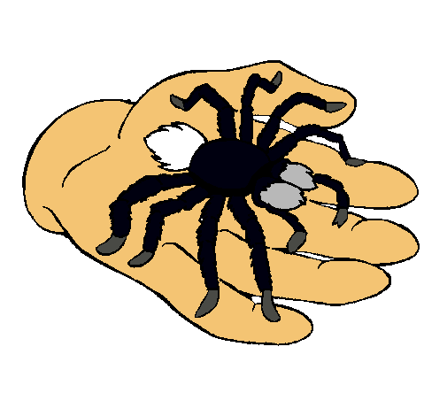 Tarántula