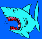 Dibujo Tiburón pintado por dienton