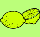 Dibujo limón pintado por lemon
