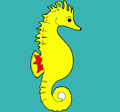 Caballito de mar