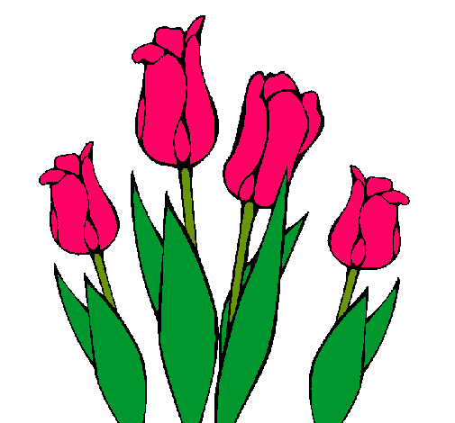 Tulipanes