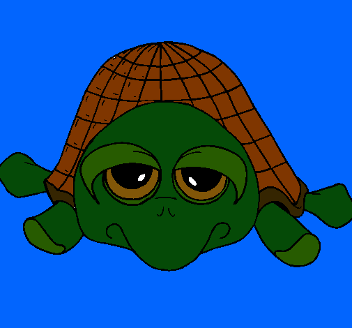 Tortuga