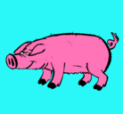 Dibujo Cerdo con pezuñas negras pintado por nicasio