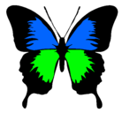 Dibujo Mariposa con alas negras pintado por Anavic