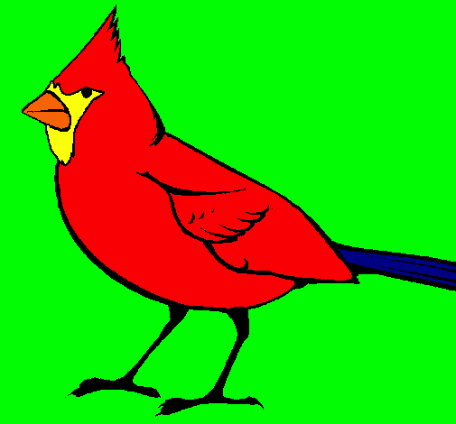 Cardinal