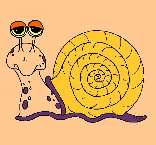 Caracol