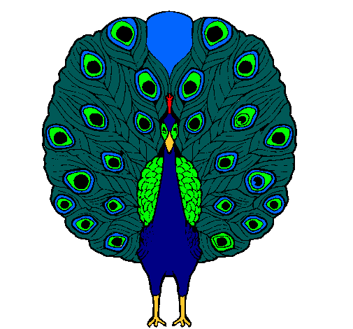 Pavo real