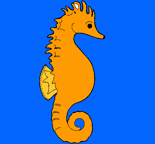 Caballito de mar