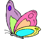 Dibujo Mariposa pintado por JIMAP