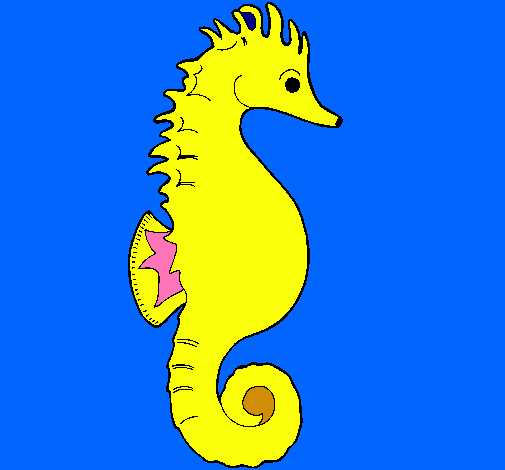 Caballito de mar