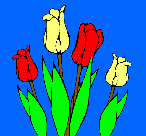 Tulipanes