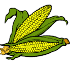 Dibujo Mazorca de maíz pintado por hghgfh