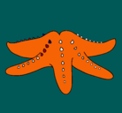 Dibujo Estrella de mar pintado por tortuga