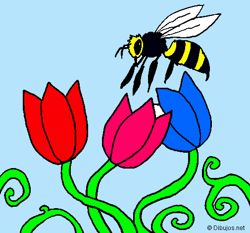 Abeja