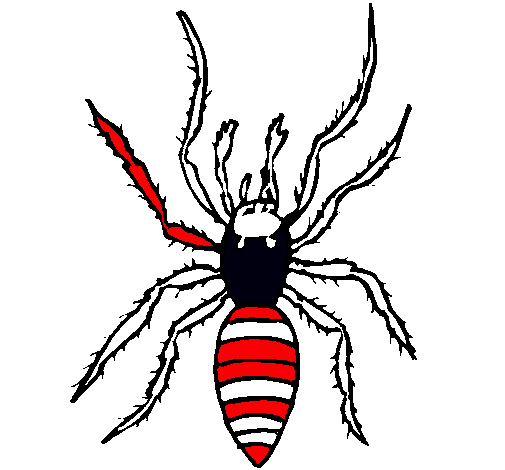 Araña tigre