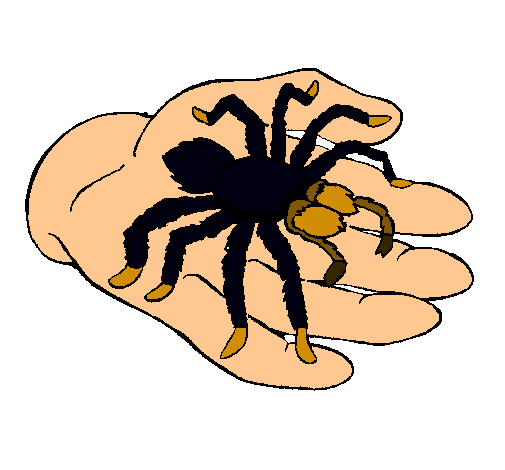 Tarántula