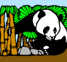 Dibujo Oso panda y bambú pintado por laulai