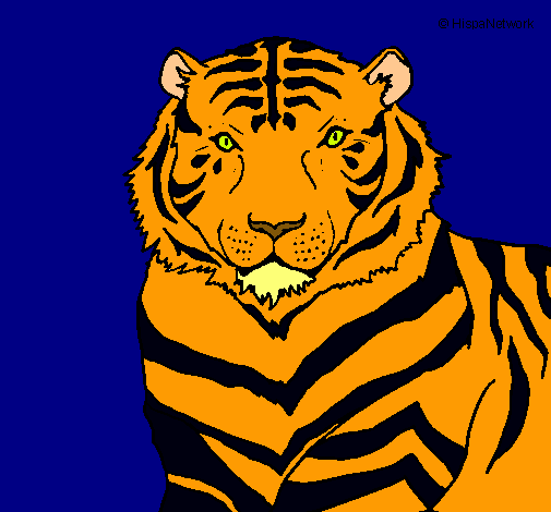 Tigre