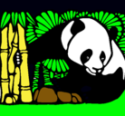 Dibujo Oso panda y bambú pintado por victorrrrrrr