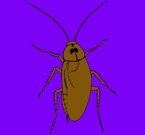 Dibujo Cucaracha grande pintado por afif22