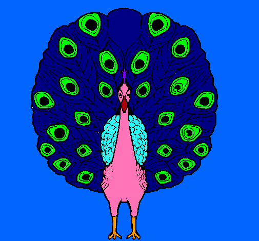 Pavo real