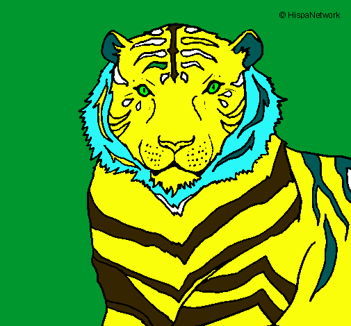 Dibujo Tigre pintado por diego-tari