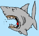 Dibujo Tiburón pintado por Uzyll