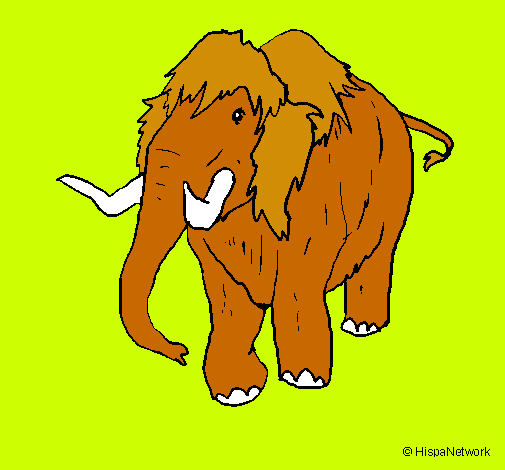 Mamut II