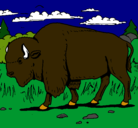 Dibujo Búfalo  pintado por mamel