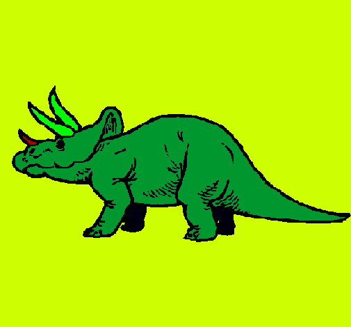 Triceratops