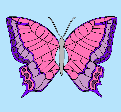 Mariposa